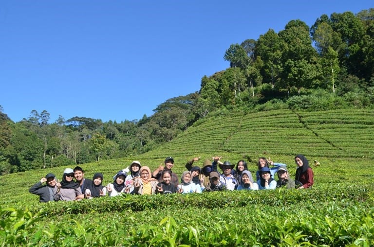 Melalui Sepucuk Daun Teh - Wahyu Riyadhy