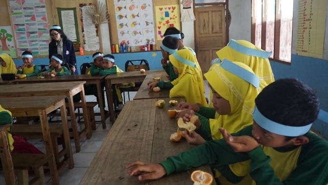 Sebuah Jeruk dan Cita-cita